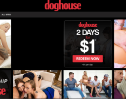Doghouse